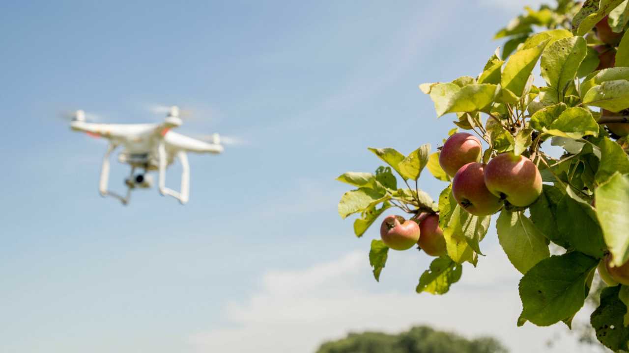 Drones to protect orchards and biodiversity: the Audi project